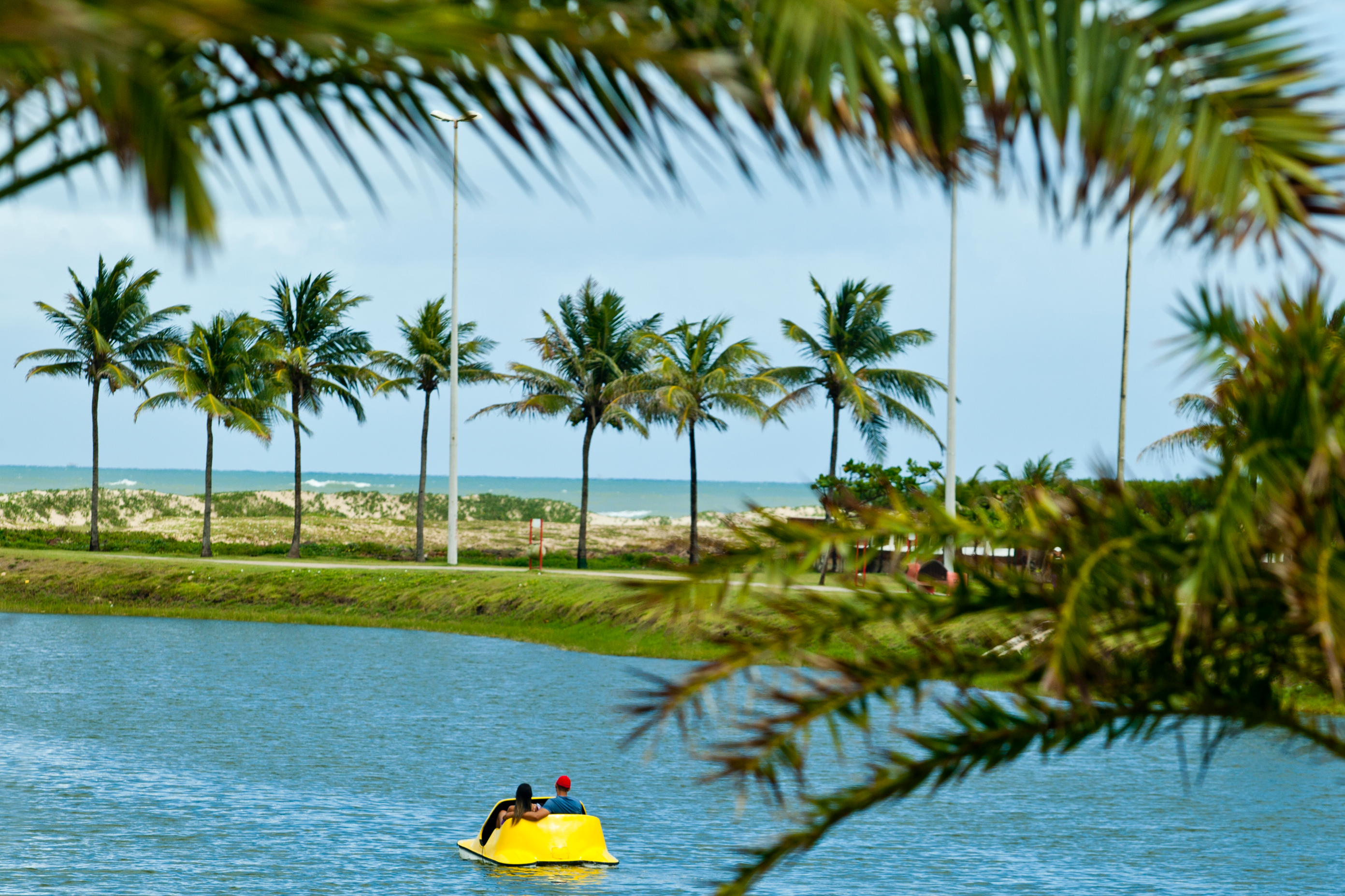 hotéis em Aracaju, Celi Hotel Hotel Celi, Celi, tartarugas, orla de Aracaju, Aracaju, fotos de Aracaju, Sergipe, hotéis em Aracaju, lugar Perfeito