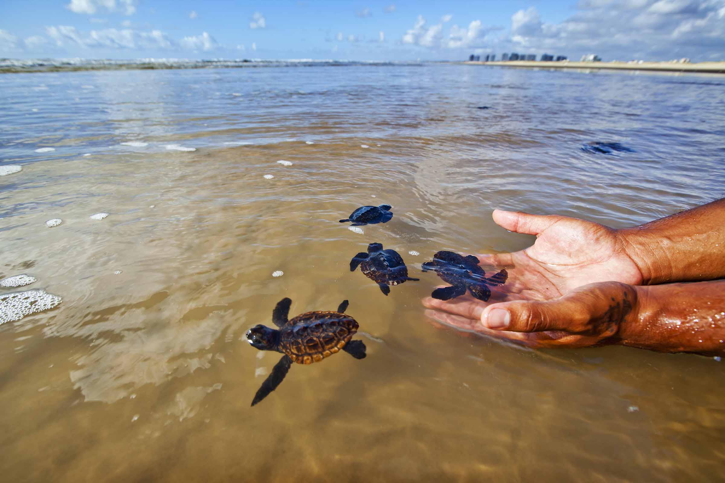 Aracaju 162 anos, Aniversário de Aracaju, Aracaju, Aracaju, Fotos de Aracaju, lugar perfeito