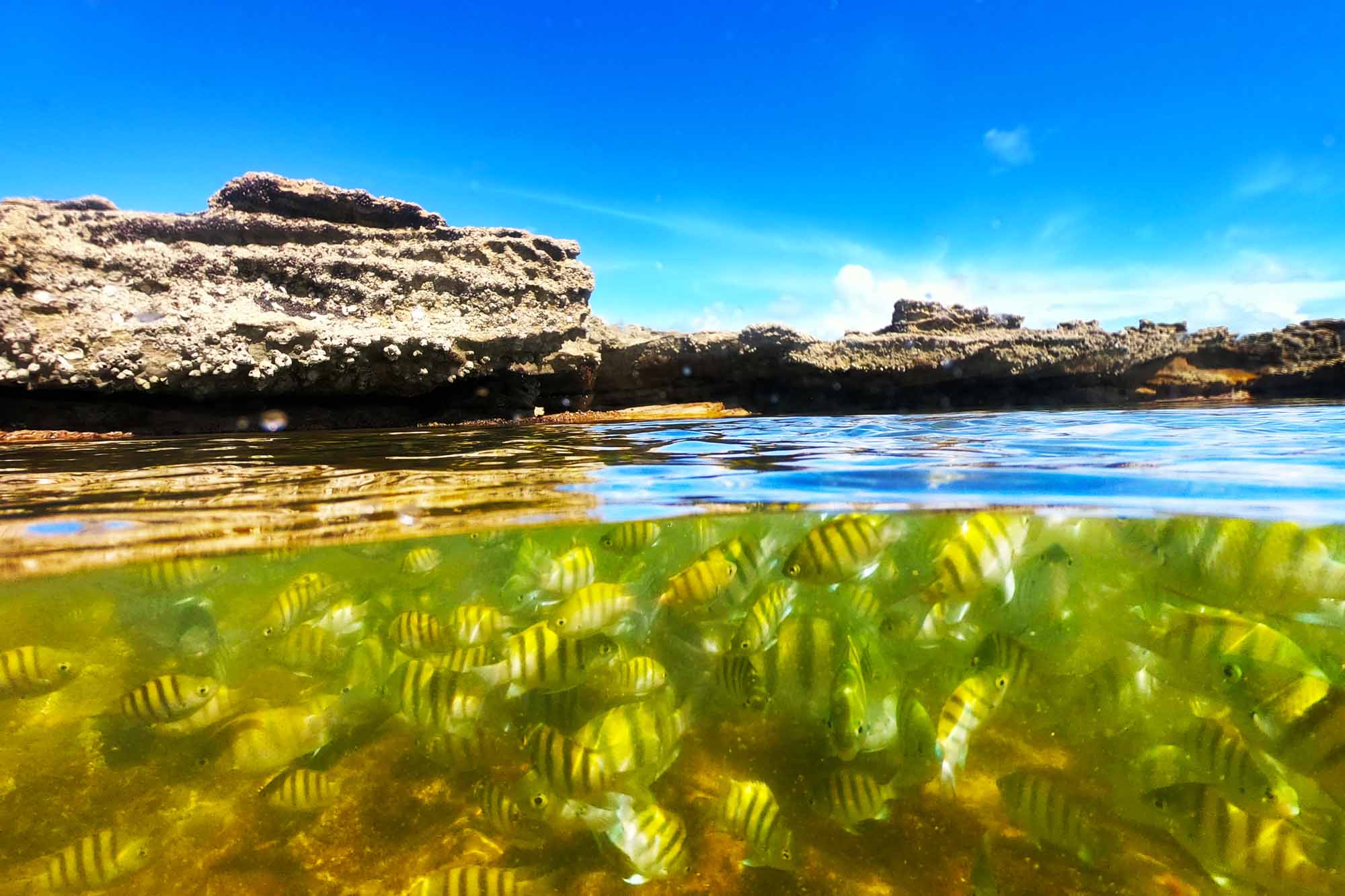 Vivá Barra Hotel pousada, Alagoas, Barra de São Miguel, lugar perfeito, hotéis em Alagoas, Fotos Márcio Dantas